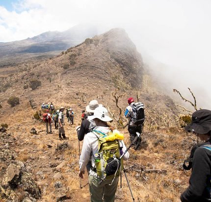 Kilimanjaro Lemosho