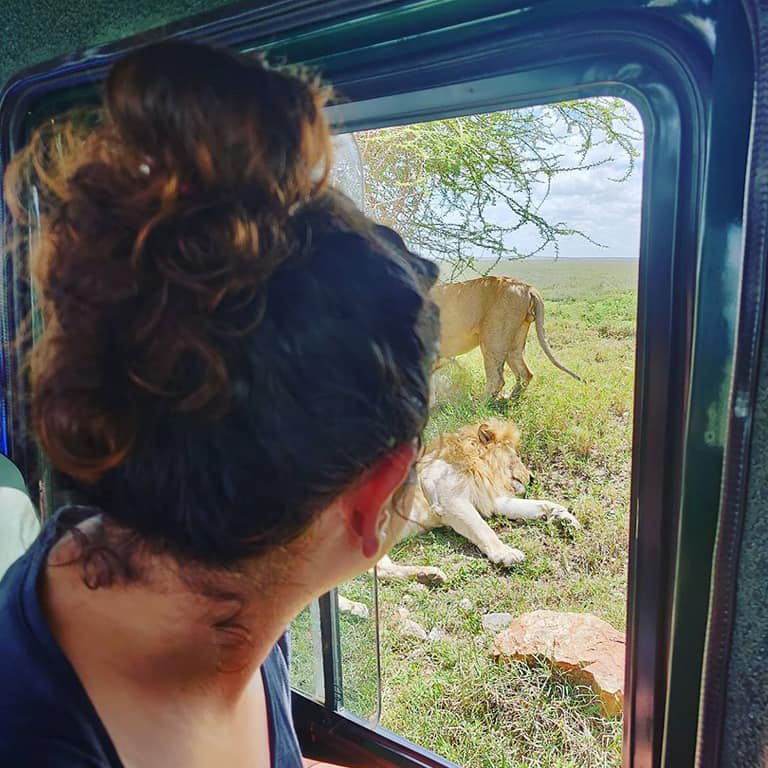 Afromasai Eastern Safaris
