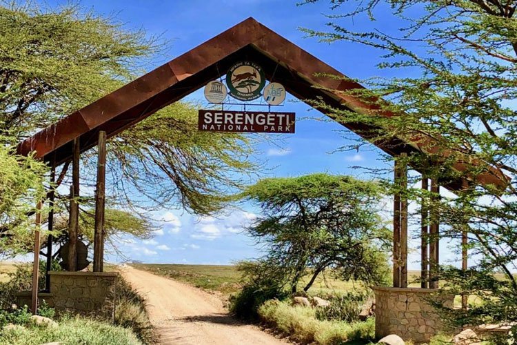 Entry-Fees-for-Serengeti-National-Park Serengeti National Park