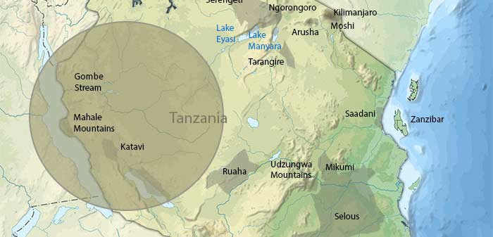 western circuit tanzania
