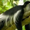 Arusha-national-park-s