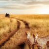 Serengeti National Park