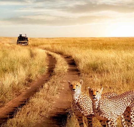 Serengeti National Park