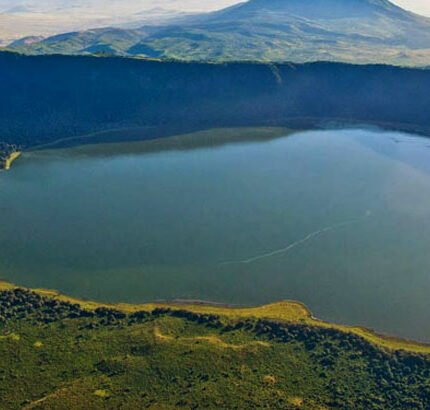 Ngorongoro