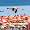 Lake Manyara