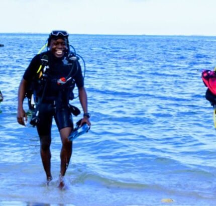 Dive