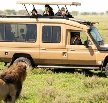 Tanzania Safaris