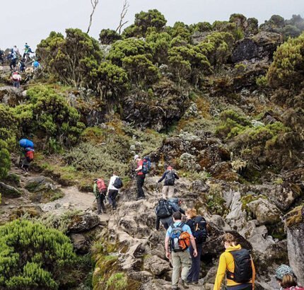 Climb-Kilimanjaro