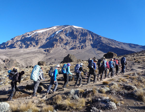 Mount Kilimanjaro Climbing Lemosho Route