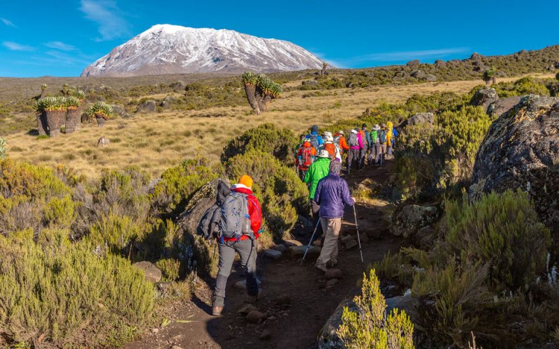 Mount Kilimanjaro Trekking Marangu route