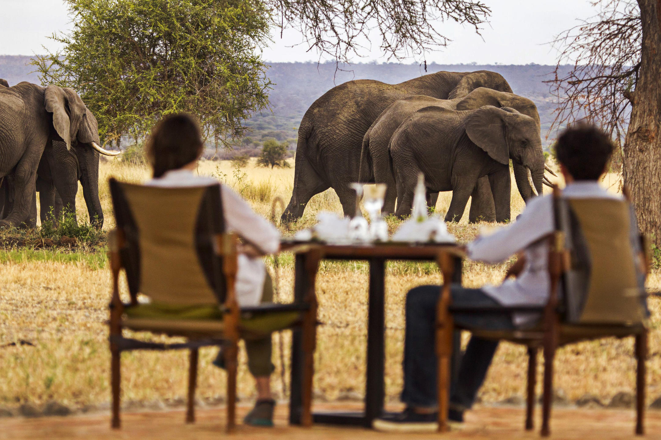 Safaris In Tanzania