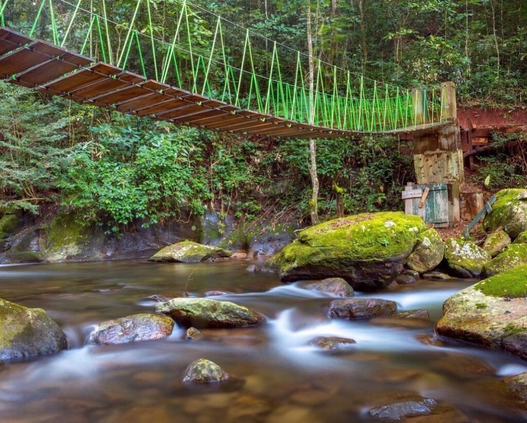 Udzungwa National Park 