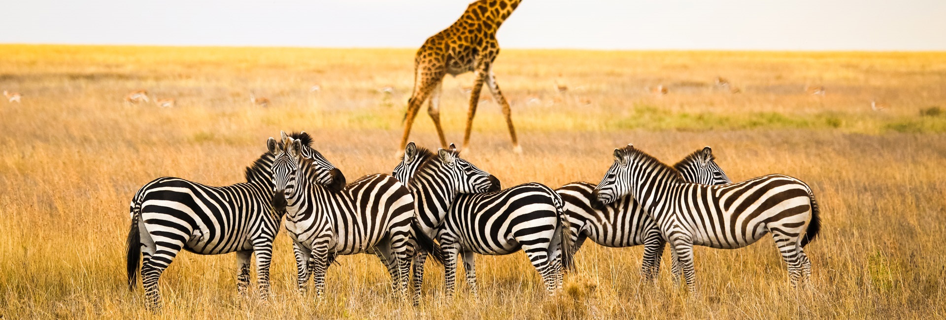 Arusha National Park
