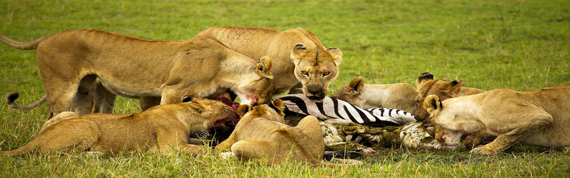 Udzungwa Mountains National Park