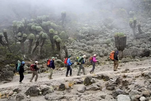 Climbing Mount Kilimanjaro Marangu Route