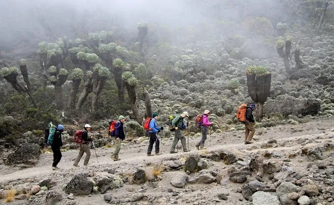 Climbing Mount Kilimanjaro Marangu Route