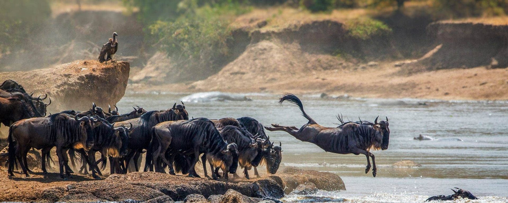 7 Days Great Serengeti Wildebeest Migration Safari
