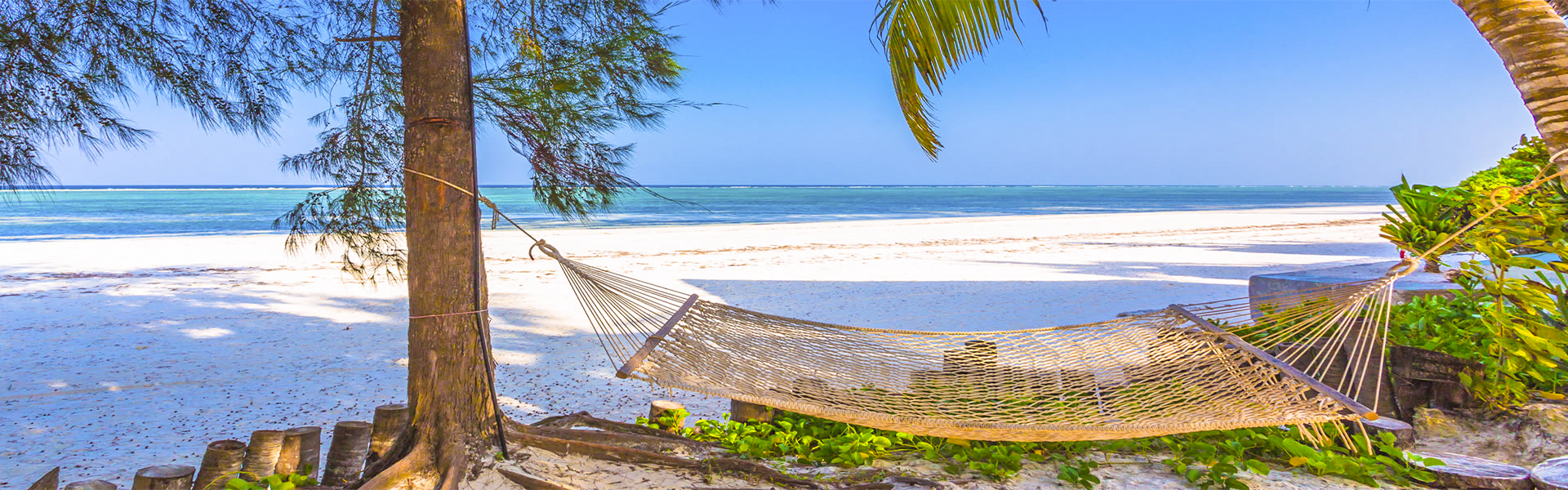 Tanzania Safari and Zanzibar Beach Safaris