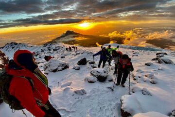 Shira Route - Kilimanjaro Climb