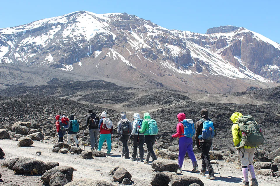 Kilimanjaro Shira Route 7 Day
