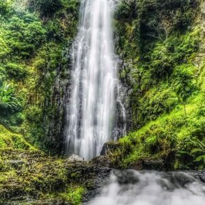 Materuni Waterfall & Coffee Expirence Day Trip