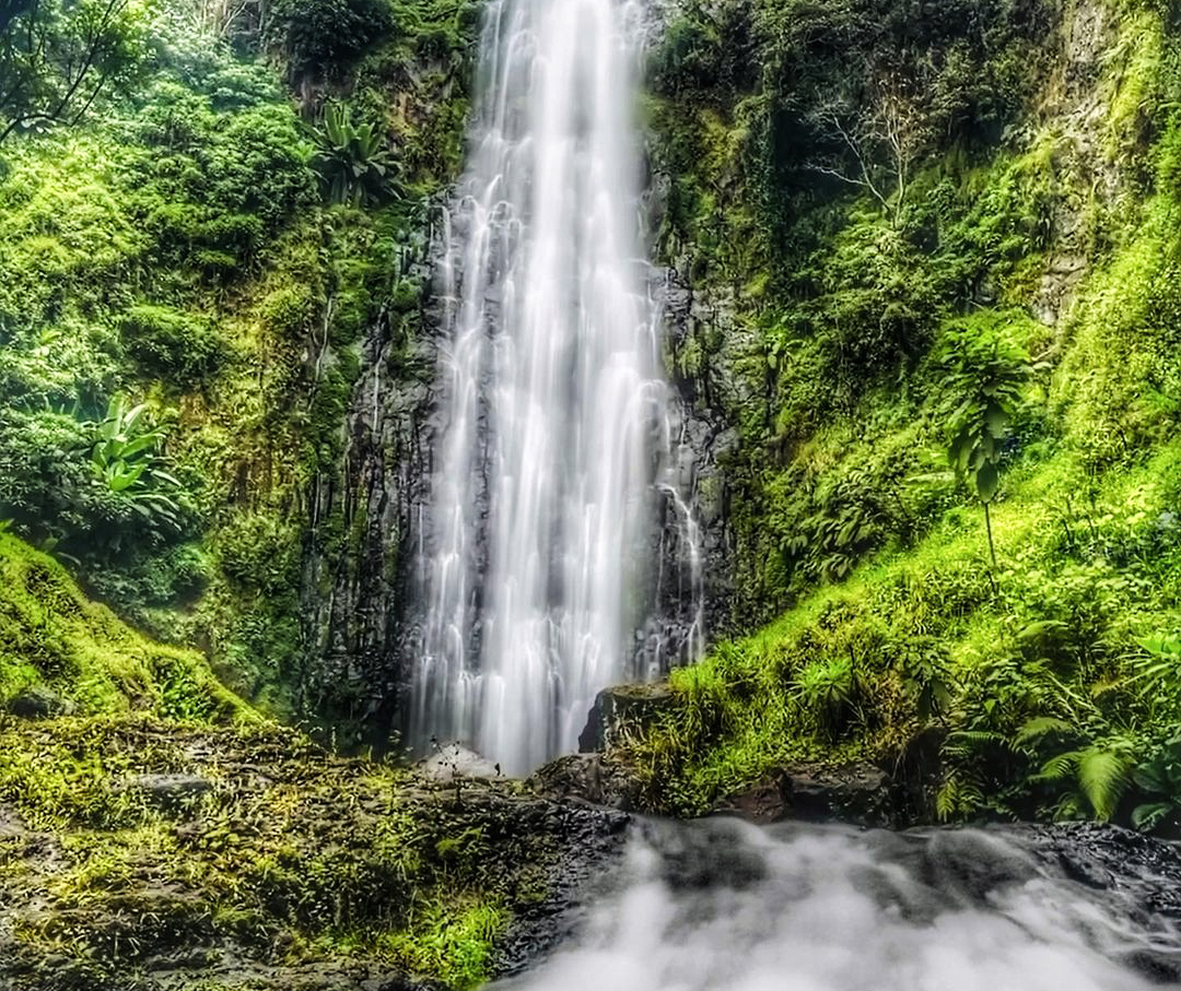 Materuni Waterfall & Coffee Expirence Day Trip