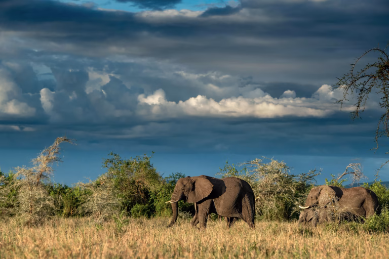 Serengeti National Park