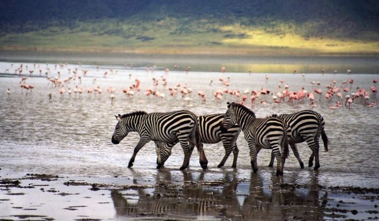 Ngorongoro National Park