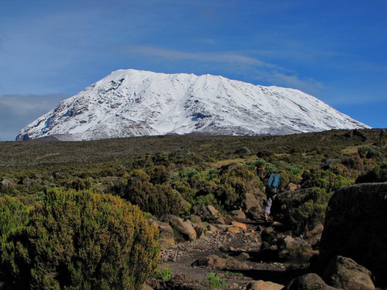 7 Days Kilimanjaro Climb