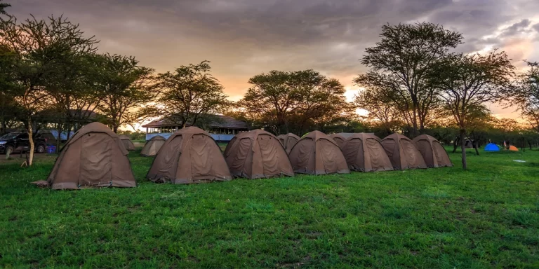 3-Day Tanzania Budget Group Camping Safari