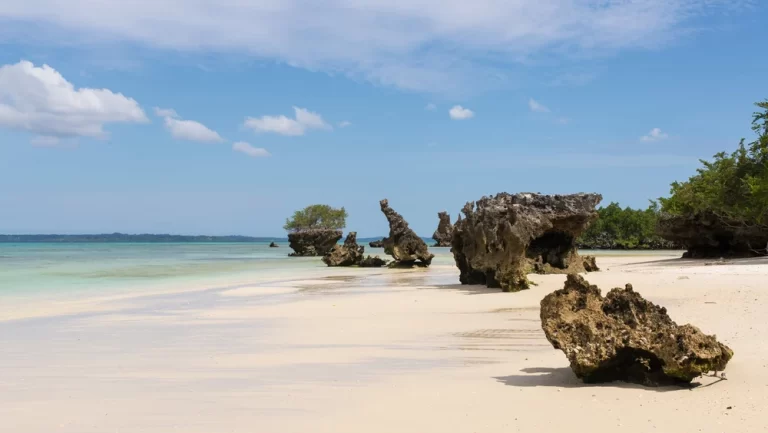 Pemba-Island-2