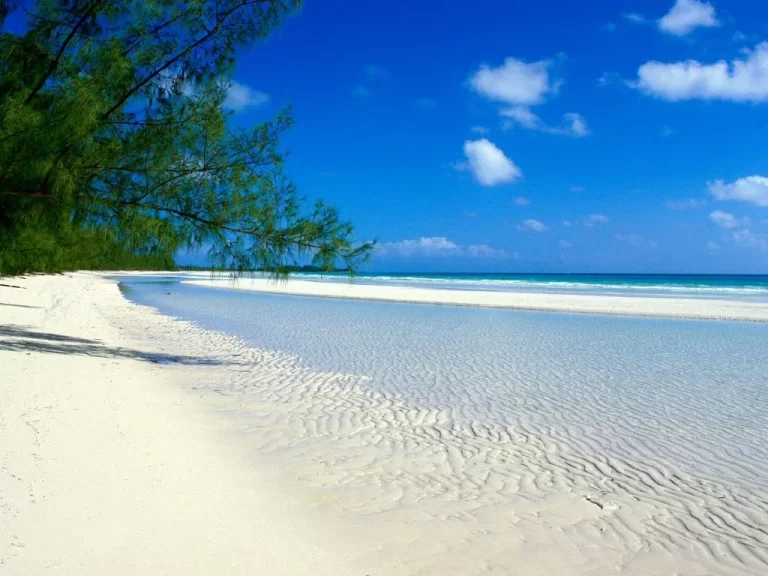 Pemba-Island-Tanzania-10