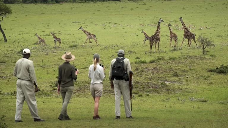 4 Days Tanzania Walking Safari – Arusha, Tarangire & Ngorongoro